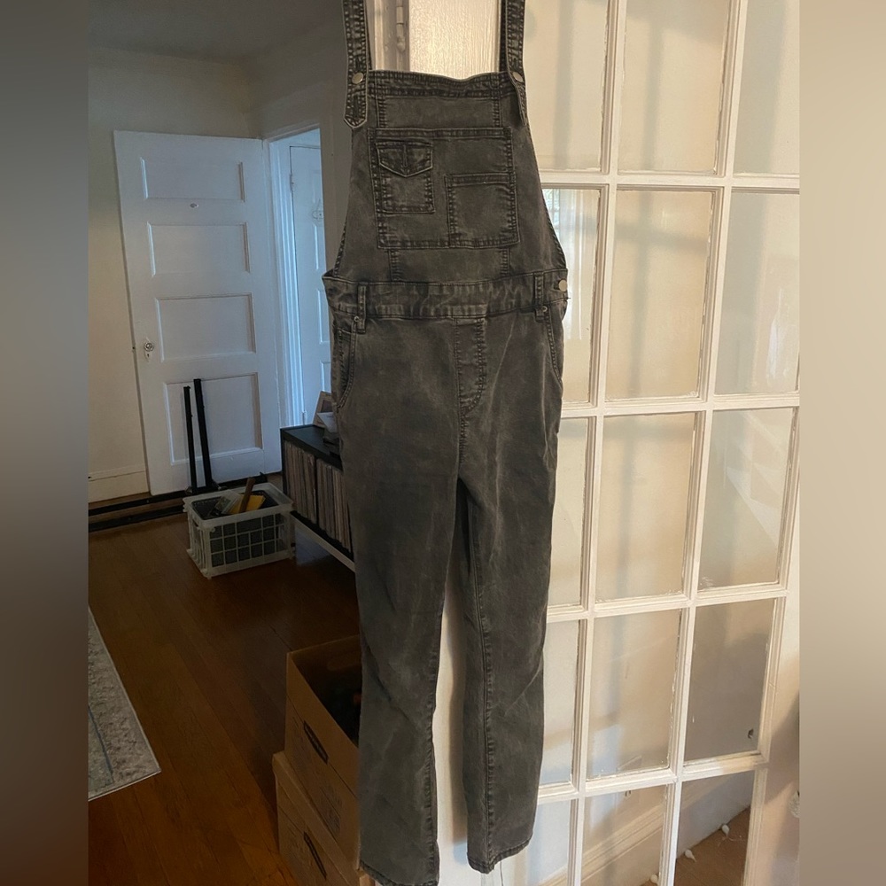 Free people overalls